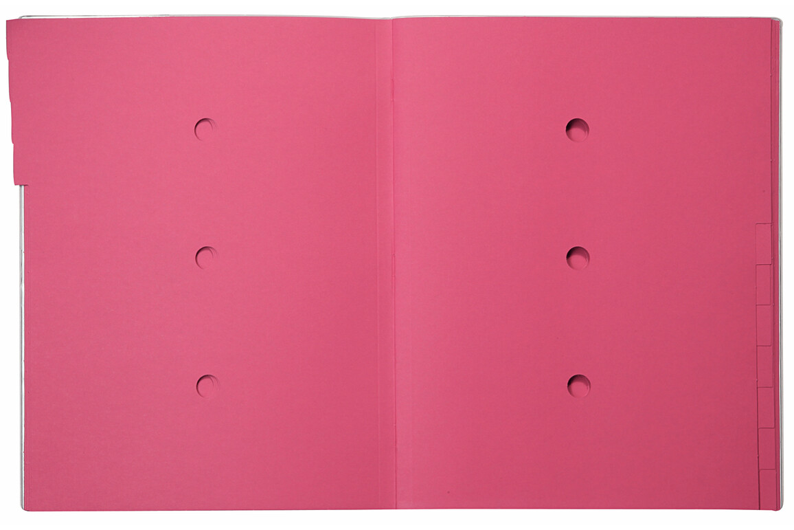 Ordnungsmappe Bene A4 12-teilig rosa, Art.-Nr. 083800-RS - Paterno Shop Ordnungsmappe Bene A4 12-teilig rosa, Art.-Nr. 083800-RS - Paterno Shop