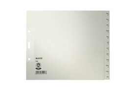 Register Leitz Monate 240x200 mm grau, Art.-Nr. 1230-00-85 - Paterno Shop