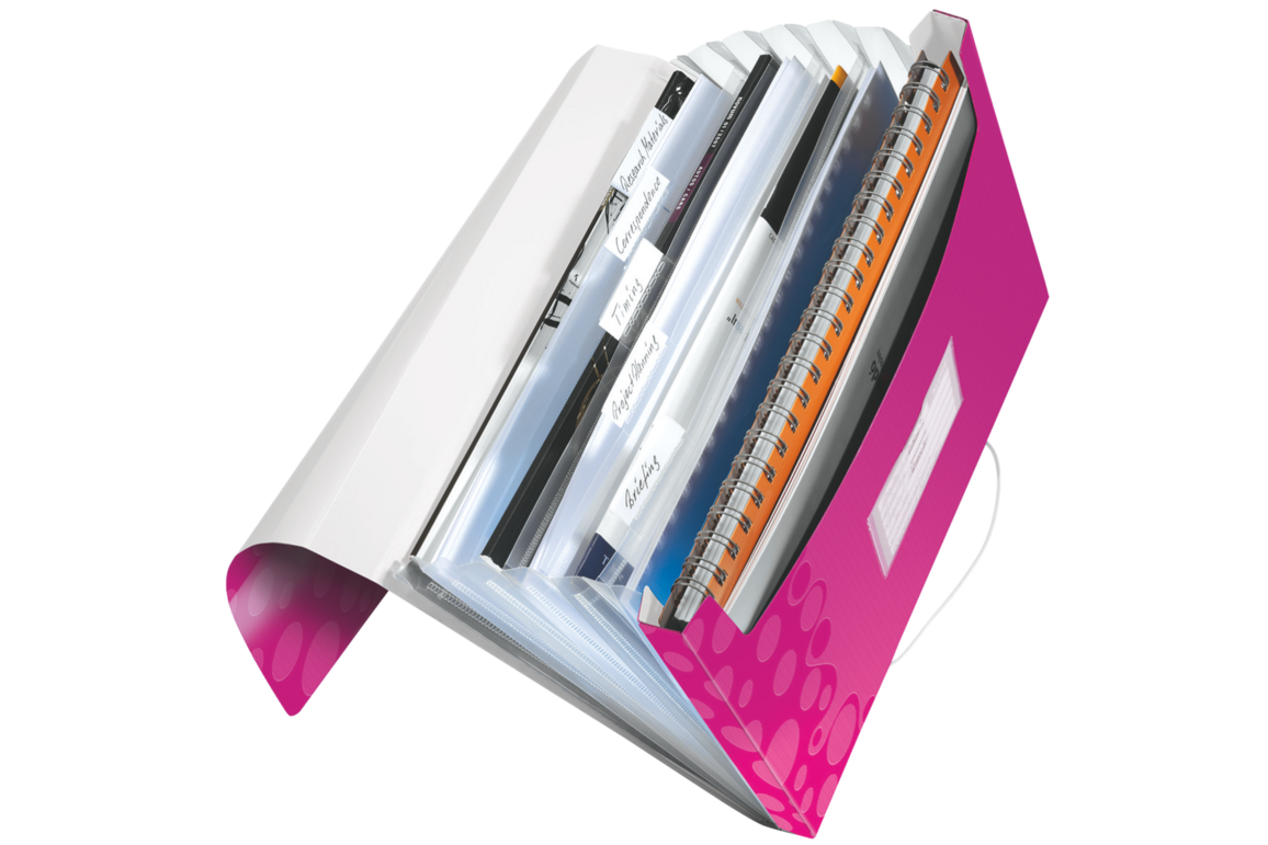 Projektmappe Leitz WOW PP A4 eisblau metallic, Art.-Nr. 458900-EBME - Paterno Shop