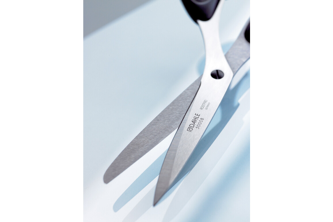 Schere Dahle Professional 21cm, 8 Zoll, Art.-Nr. 50008 - Paterno Shop