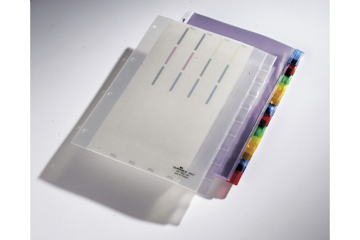 Register Durable 6831 A4 1-10 10-teilig, Art.-Nr. 683119 FARBLOS - Paterno Shop