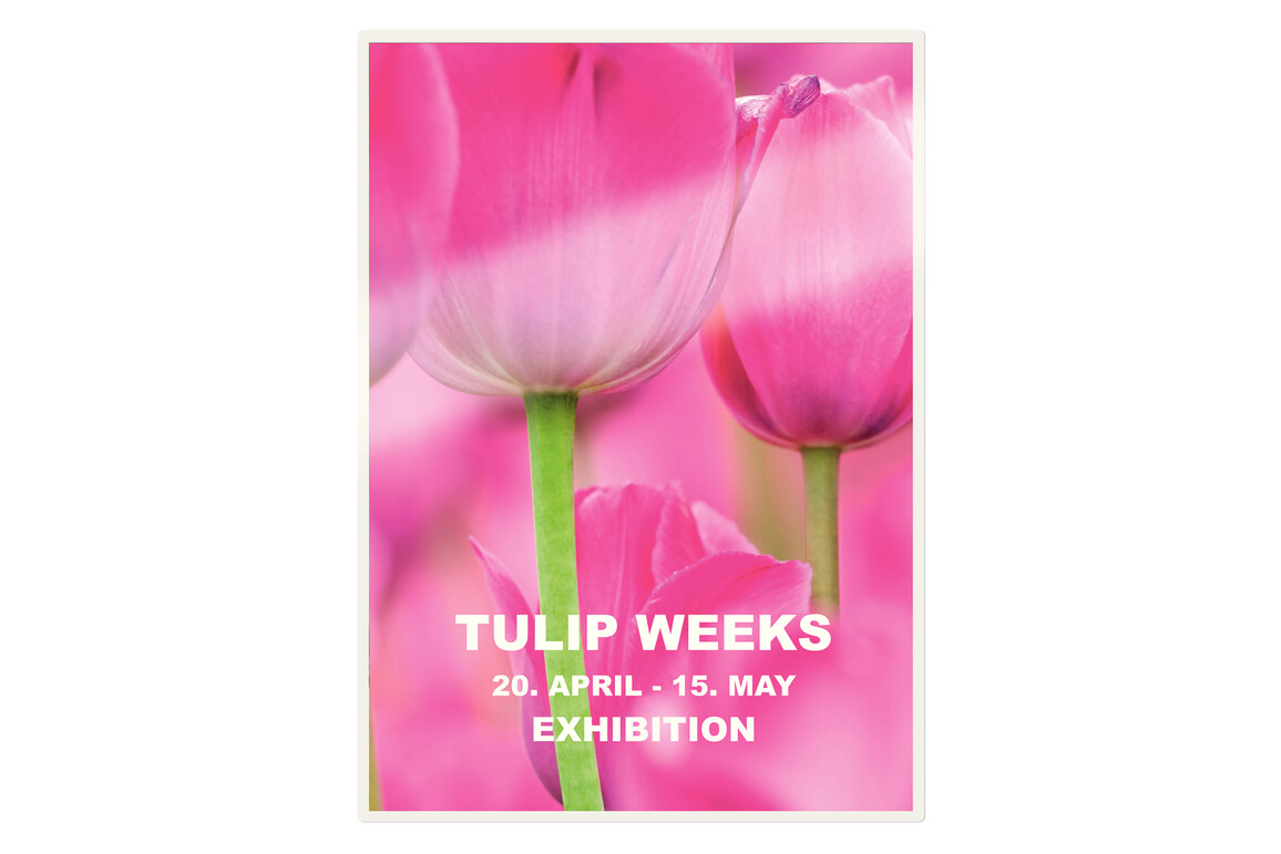 Laminiertaschen Leitz A5 2x125 my, Art.-Nr. 7493000 - Paterno Shop