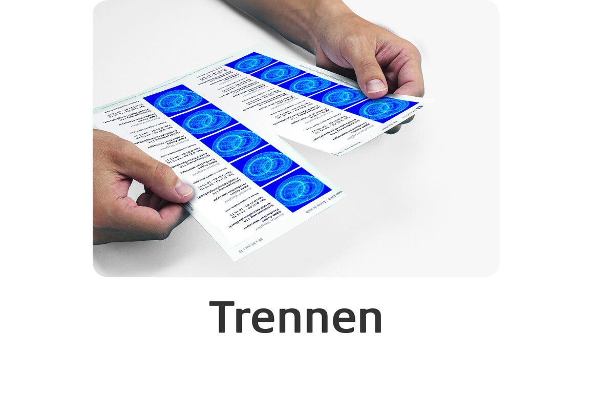 Visitenkarten ZWF 85 x 54 mm, Art.-Nr. C32010-10 - Paterno Shop